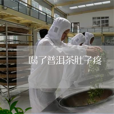 喝了普洱茶肚子疼/2023031630604