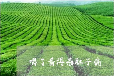 喝了普洱茶肚子痛/2023041310705