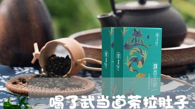 喝了武当道茶拉肚子/2023031927938