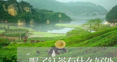 喝了红茶有什么好处/2023041562603