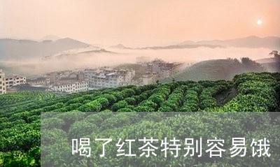 喝了红茶特别容易饿/2023031963835