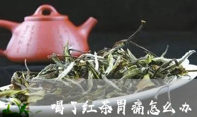 喝了红茶胃痛怎么办/2023041520795