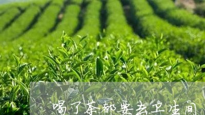 喝了茶都要去卫生间/2023031958270