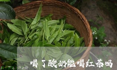 喝了酸奶能喝红茶吗/2023041501827