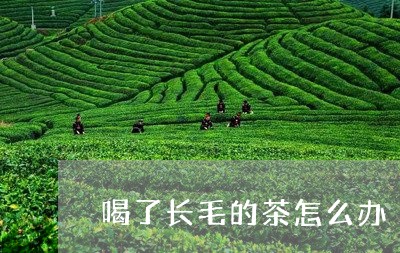 喝了长毛的茶怎么办/2023041452625