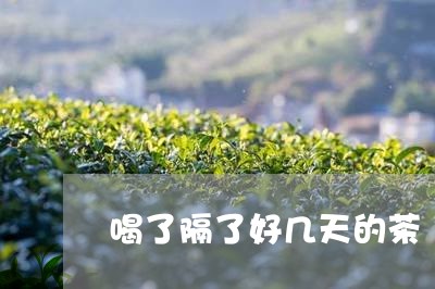 喝了隔了好几天的茶/2023031874945