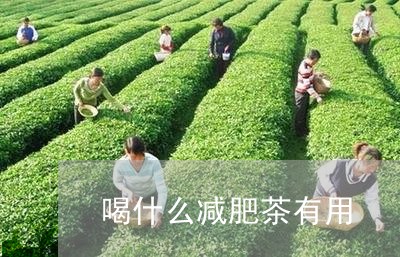 喝什么减肥茶有用/2023032269504