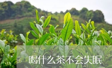 喝什么茶不会失眠/2023032300514