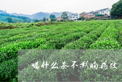 喝什么茶不影响药效/2023041589684