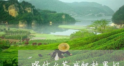 喝什么茶减肥效果好/2023031916137