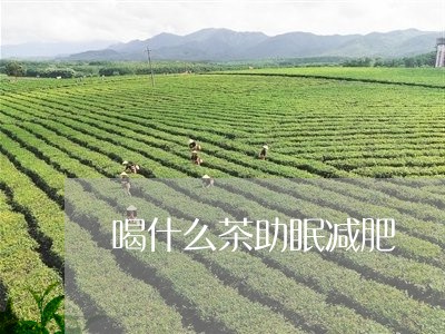 喝什么茶助眠减肥/2023032324147