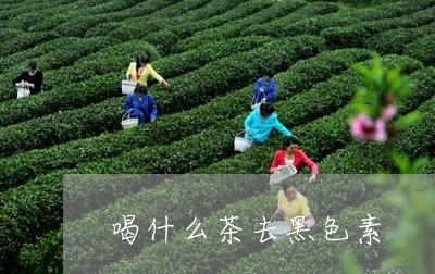 喝什么茶去黑色素/2023032260703