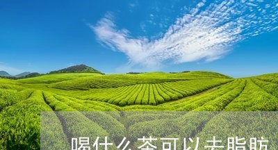 喝什么茶可以去脂肪/2023041598404