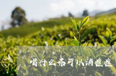 喝什么茶可以消痘痘/2023041592048