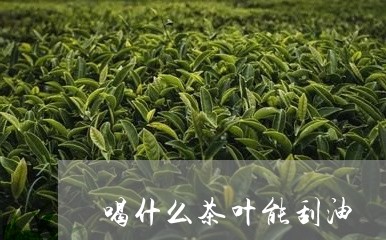 喝什么茶叶能刮油/2023032721403