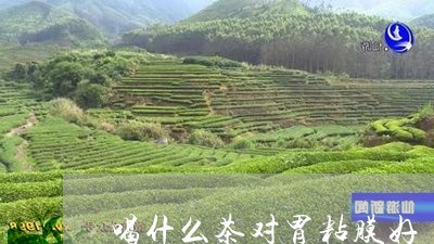 喝什么茶对胃粘膜好/2023041571604