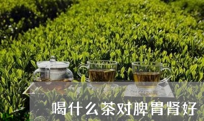 喝什么茶对脾胃肾好/2023041512715