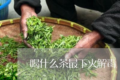 喝什么茶最下火解毒/2023032067372