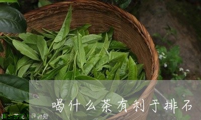 喝什么茶有利于排石/2023031911583