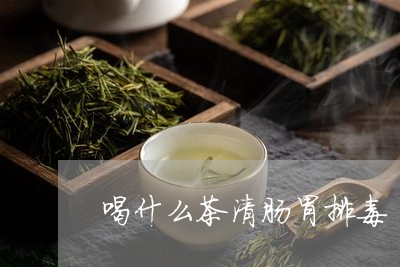 喝什么茶清肠胃排毒/2023032099837