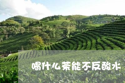 喝什么茶能不反酸水/2023041535059