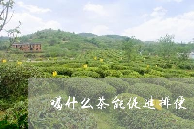 喝什么茶能促进排便/2023041581704