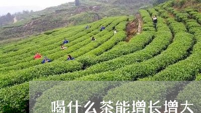 喝什么茶能增长增大/2023041556039