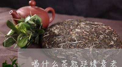 喝什么茶能延缓衰老/2023031969592