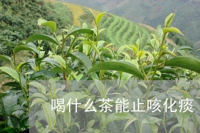 喝什么茶能止咳化痰/2023031969482