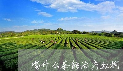 喝什么茶能治疗血稠/2023041504958