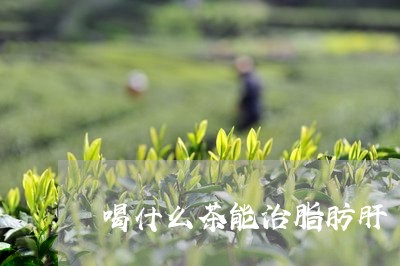 喝什么茶能治脂肪肝/2023041582804