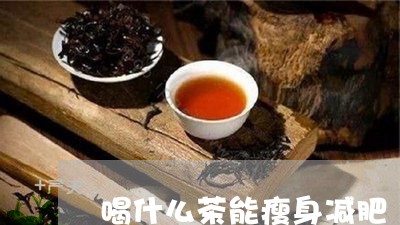 喝什么茶能瘦身减肥/2023041527382