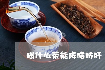 喝什么茶能降脂肪肝/2023032031815