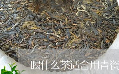 喝什么茶适合用青瓷/2023041545148