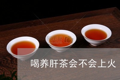 喝养肝茶会不会上火/2023041440601