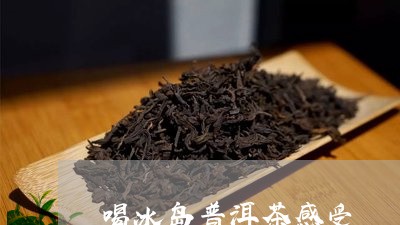 喝冰岛普洱茶感受/2023041336939