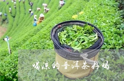 喝凉的普洱茶好吗/2023040127148