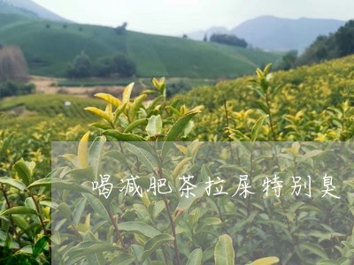 喝减肥茶拉屎特别臭/2023041449492