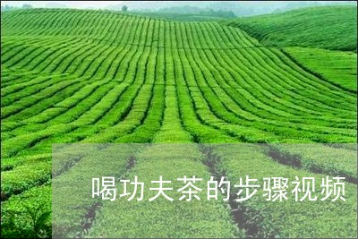 喝功夫茶的步骤视频/2023032120692