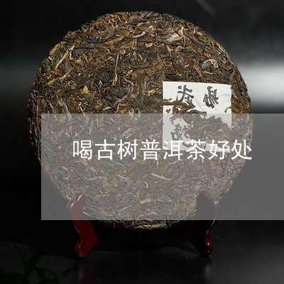 喝古树普洱茶好处/2023031672935