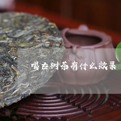 喝古树茶有什么效果/2023032211606