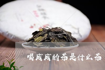 喝咸咸的茶是什么茶/2023041563937