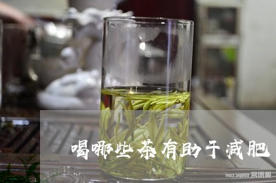 喝哪些茶有助于减肥/2023041593036