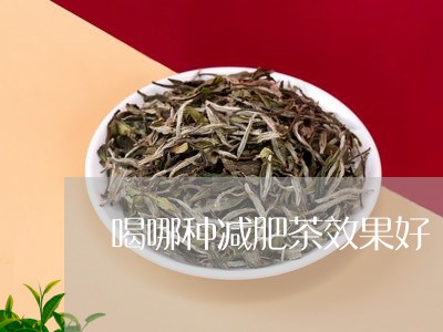 喝哪种减肥茶效果好/2023041573026