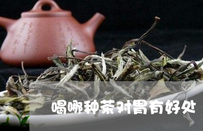 喝哪种茶对胃有好处/2023031981604