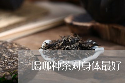 喝哪种茶对身体最好/2023031958360