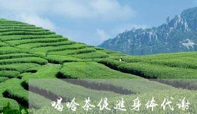 喝啥茶促进身体代谢/2023031997248