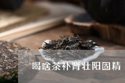 喝啥茶补肾壮阳固精/2023041481513