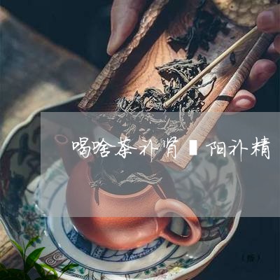 喝啥茶补肾壮阳补精/2023031843948