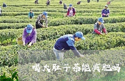 喝大肚子茶能减肥吗/2023031805157